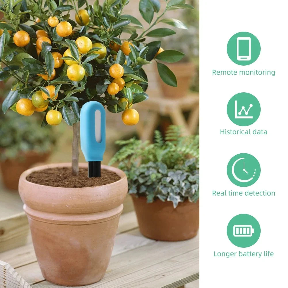 Capteur Sol Zigbee SGS01 - Humidité & Température Terre - Tuya & Home Assistant
